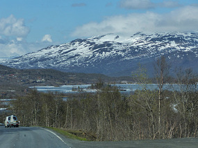 Frozen landscape