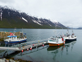 Fishing boats