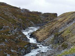 Stream
