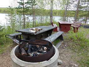Cook fish