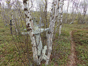 Old wooden headstones