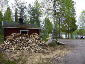Plenty of firewood