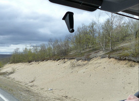 Sandy soil