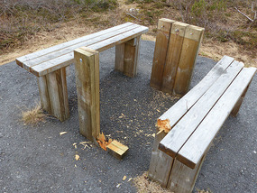 Useful for firewood?