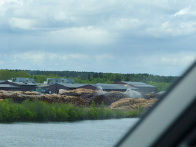 Enormous wood yard