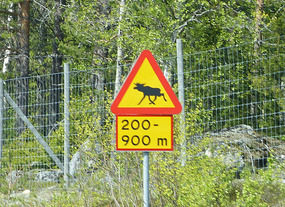 Funny Swedish moose sign