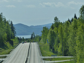 swedish view