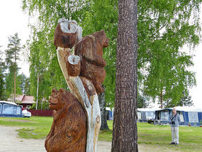 At campsite entrance