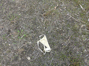 Strange find!
