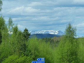 Swedish snow