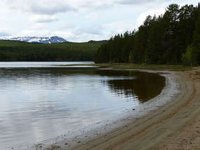 view