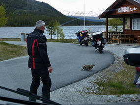Approaching german bikers