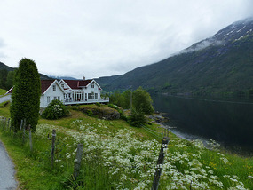 House with a view