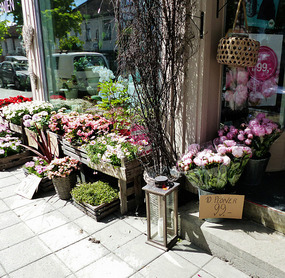 Lovely paeonies