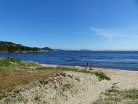 beach- mandal
