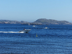 boats