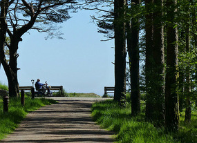 To the sea