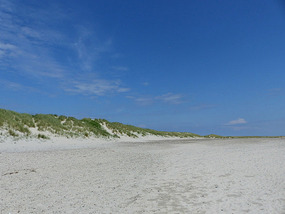 Along the beach