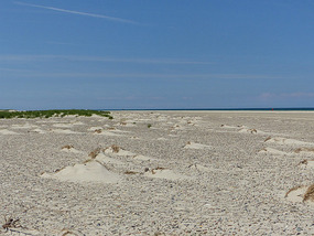 Wind on dunes