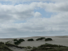 Rabjerg Mile sand dune