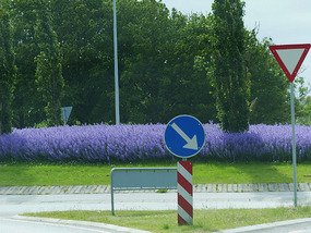 Pretty roundabout