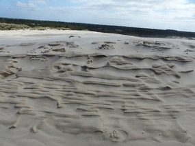 Wind blown sand