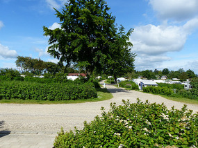 Hjarbaek camping