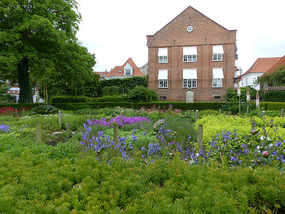 Old garden