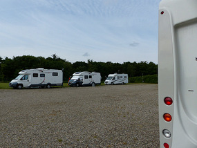 Ribe camping