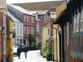 Ribe