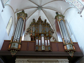 organ-Ribe