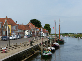 Ribe