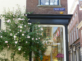 lovely flower shop- where i bought birds