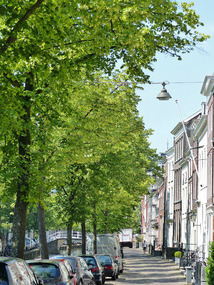 Houses along canal