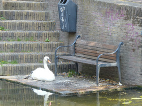This seat occupied?