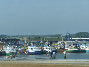 Fishing fleet- sea side