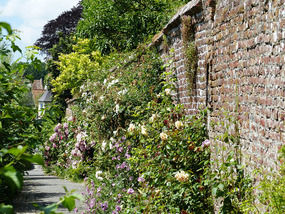 Along the ramparts