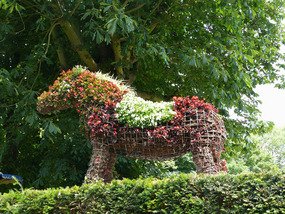 Floral horse-Cassel