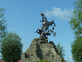 War horses- nr Poperinge