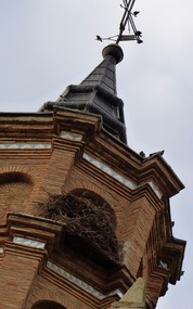 Stork's nest but too early for inhabitants