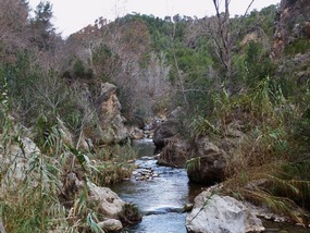 Looking back along river valley