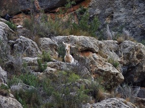 we were being watched