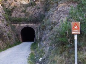 Tunnel on path