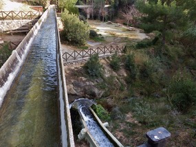Area around springs- Altura