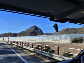 Tomato greenhouses