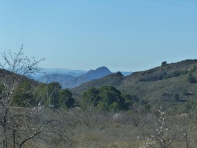 View from inland road