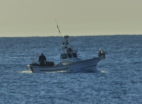 Going fishing