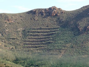 Terraces of prickly pears