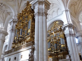 Twin organs