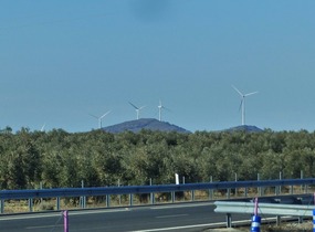 Modern windmills-not quite so romantic?